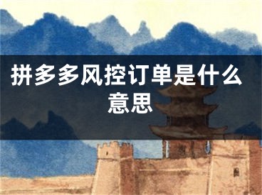 拼多多风控订单是什么意思