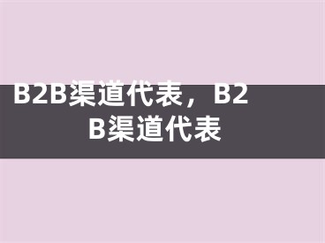 B2B渠道代表，B2B渠道代表