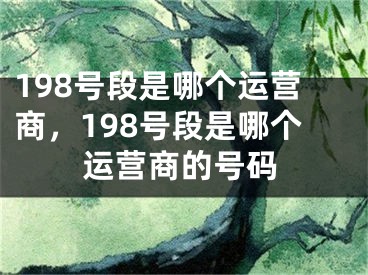 198号段是哪个运营商，198号段是哪个运营商的号码