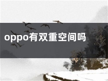 oppo有双重空间吗