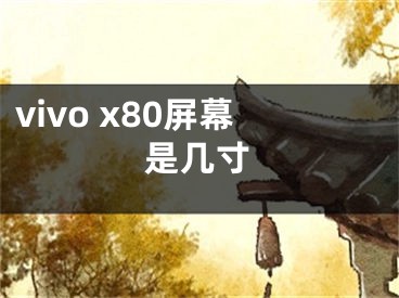 vivo x80屏幕是几寸