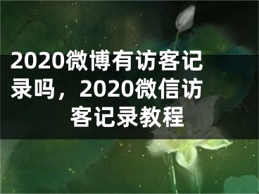 2020微博有访客记录吗，2020微信访客记录教程