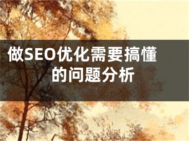 做SEO优化需要搞懂的问题分析