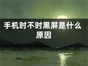 手机时不时黑屏是什么原因