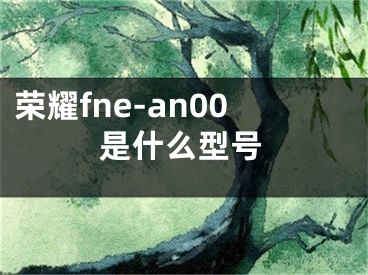 荣耀fne-an00是什么型号 