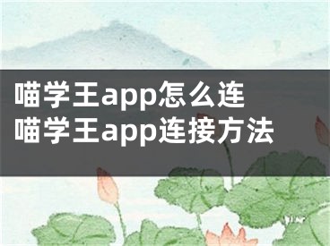 喵学王app怎么连 喵学王app连接方法