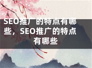 SEO推广的特点有哪些，SEO推广的特点有哪些