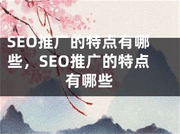 SEO推广的特点有哪些，SEO推广的特点有哪些