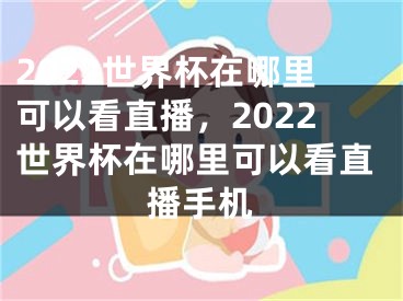 2022世界杯在哪里可以看直播，2022世界杯在哪里可以看直播手机