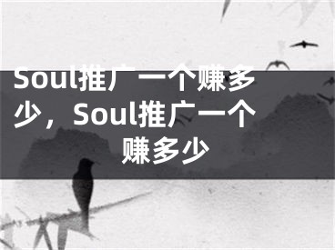 Soul推广一个赚多少，Soul推广一个赚多少