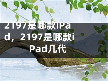 2197是哪款iPad，2197是哪款iPad几代