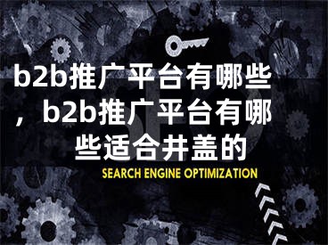 b2b推广平台有哪些，b2b推广平台有哪些适合井盖的
