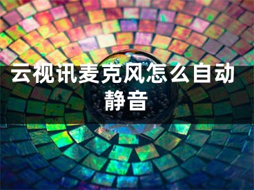 云视讯麦克风怎么自动静音