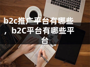 b2c推广平台有哪些，b2C平台有哪些平台