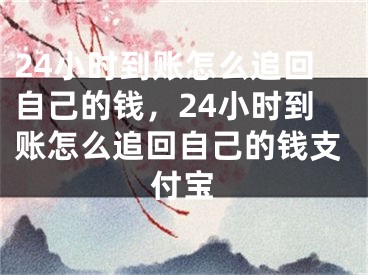 24小时到账怎么追回自己的钱，24小时到账怎么追回自己的钱支付宝