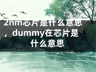 2nm芯片是什么意思，dummy在芯片是什么意思