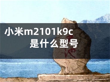 小米m2101k9c是什么型号