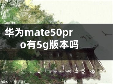 华为mate50pro有5g版本吗