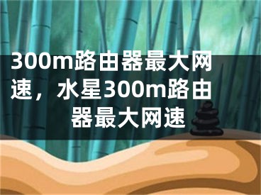 300m路由器最大网速，水星300m路由器最大网速