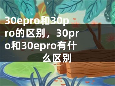 30epro和30pro的区别，30pro和30epro有什么区别