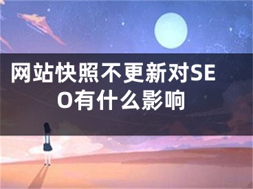 网站快照不更新对SEO有什么影响