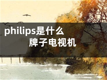 philips是什么牌子电视机