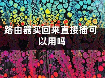 路由器买回来直接插可以用吗