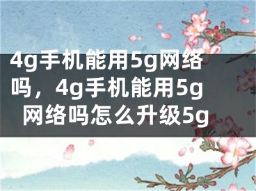 4g手机能用5g网络吗，4g手机能用5g网络吗怎么升级5g