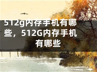 512g内存手机有哪些，512G内存手机有哪些