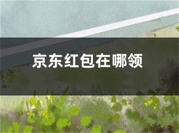 京东红包在哪领