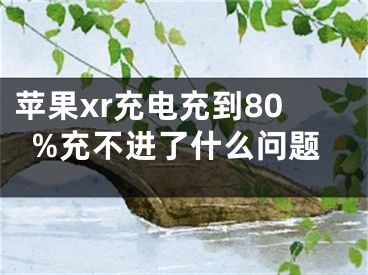 苹果xr充电充到80%充不进了什么问题