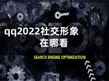 qq2022社交形象在哪看