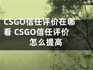 CSGO信任评价在哪看 CSGO信任评价怎么提高