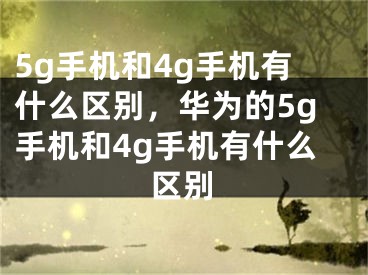 5g手机和4g手机有什么区别，华为的5g手机和4g手机有什么区别