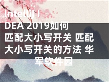 IntelliJ IDEA 2019如何匹配大小写开关 匹配大小写开关的方法 华军软件园