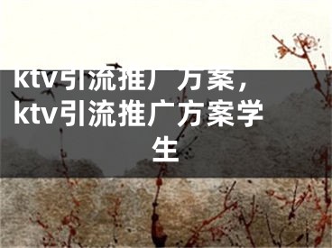 ktv引流推广方案，ktv引流推广方案学生