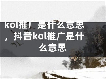 kol推广是什么意思，抖音kol推广是什么意思