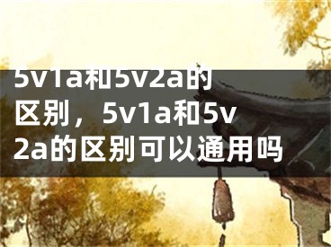 5v1a和5v2a的区别，5v1a和5v2a的区别可以通用吗