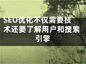 SEO优化不仅需要技术还要了解用户和搜索引擎