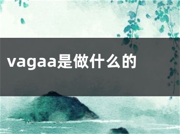 vagaa是做什么的