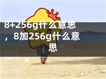 8+256g什么意思，8加256g什么意思