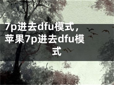 7p进去dfu模式，苹果7p进去dfu模式