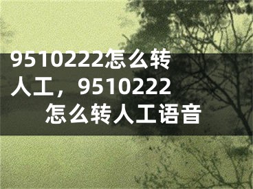 9510222怎么转人工，9510222怎么转人工语音