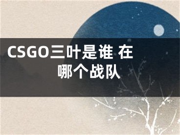 CSGO三叶是谁 在哪个战队