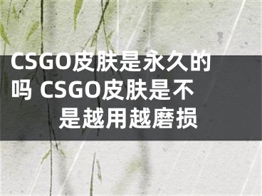 CSGO皮肤是永久的吗 CSGO皮肤是不是越用越磨损