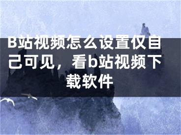 B站视频怎么设置仅自己可见，看b站视频下载软件