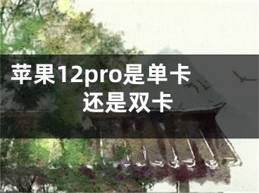 苹果12pro是单卡还是双卡