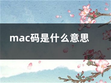 mac码是什么意思