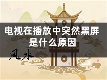 电视在播放中突然黑屏是什么原因