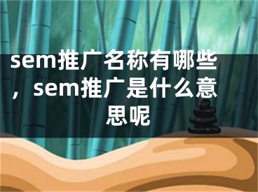 sem推广名称有哪些，sem推广是什么意思呢